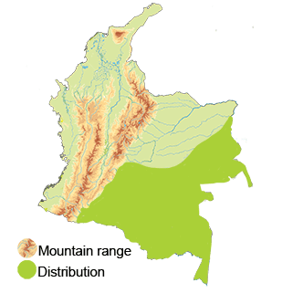 distribution of the sand-colored nighthawk