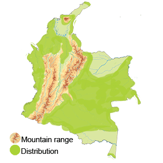 distribution of the Scaled Pigeon in Colombia South America