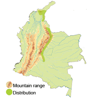 Distribution of the Sooty-capped Hermit, Phaethornis augusti