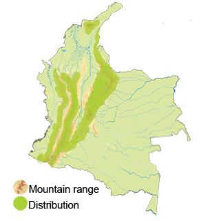 distribution of the band-tailed pigeon