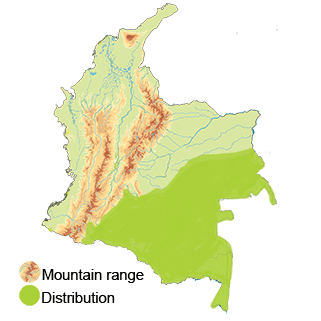 Distribution of the Straight-billed Hermit