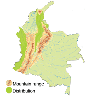 distribution of the Stripe-throated Hermit