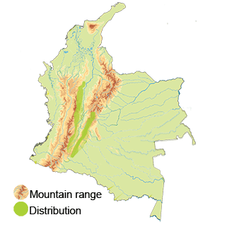 distribution of the Tolima Dove