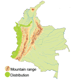 distribution of the Tooth-billed Hummingbird