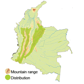 map-colombia-torrent-duck