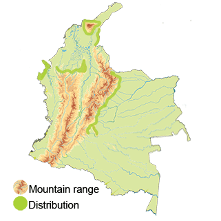 Distribution of the Violaceous Quail-dove