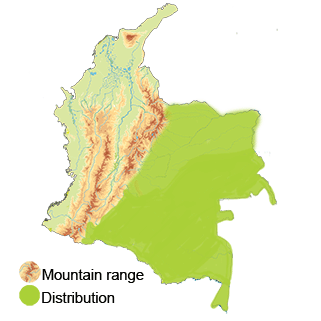 distribution of the White-bearded Hermit