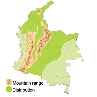 distribution of the White-tailed Kite