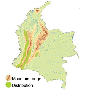 distribution of the white-throated-quail-dove