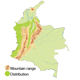 distribution of the White-tipped Sicklebill