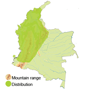 map distribution of the chuck-will-s-widow