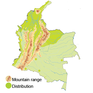 mapa-colombia-masked-duck