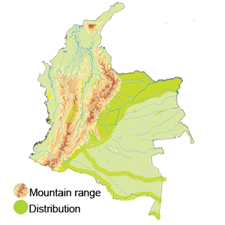 map of colombia of the orinoco goose