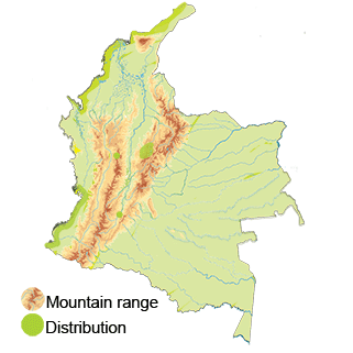 map of colombia for white-cheeked pintail duck