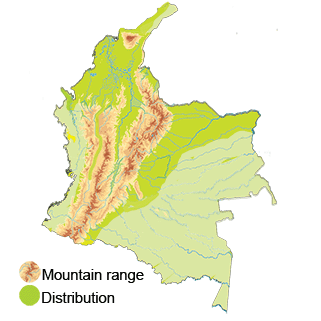 distribution of white-faced whistling-duck in Colombia