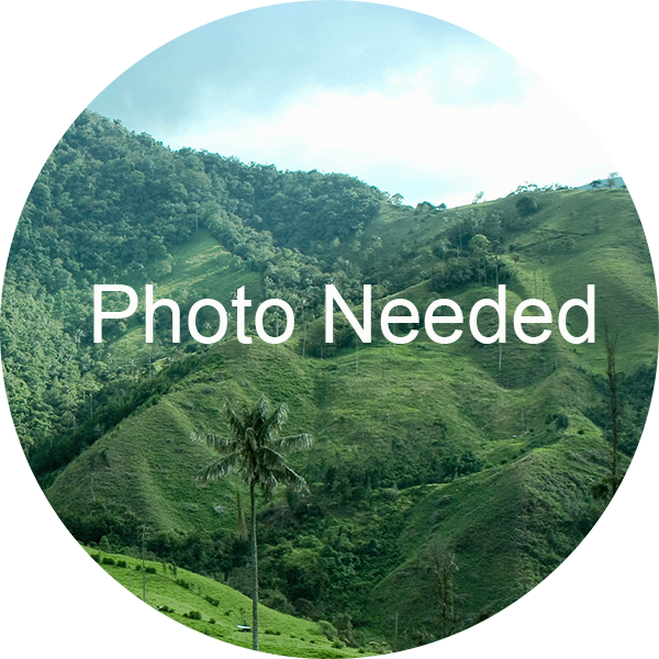 Photo Needed for Highland Motmot