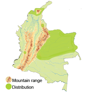 map of colombia with distribution of rufous nightjar